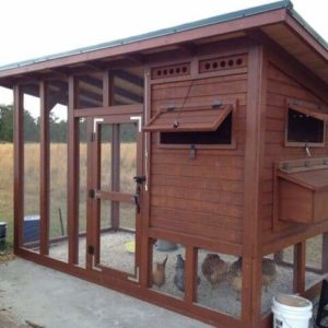 palace chicken coop finished constuction