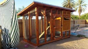 The finished coop