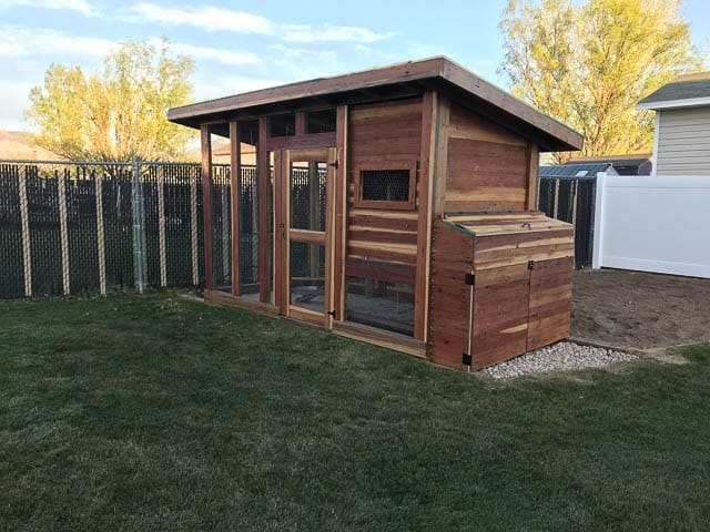 free-palace-chicken-coop-photos-7943 A user submitted image of the completed chicken coop.